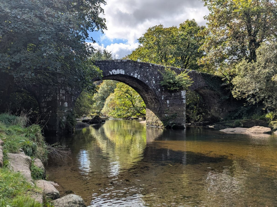 Unique Devon Tours-牛顿阿伯里必去景点