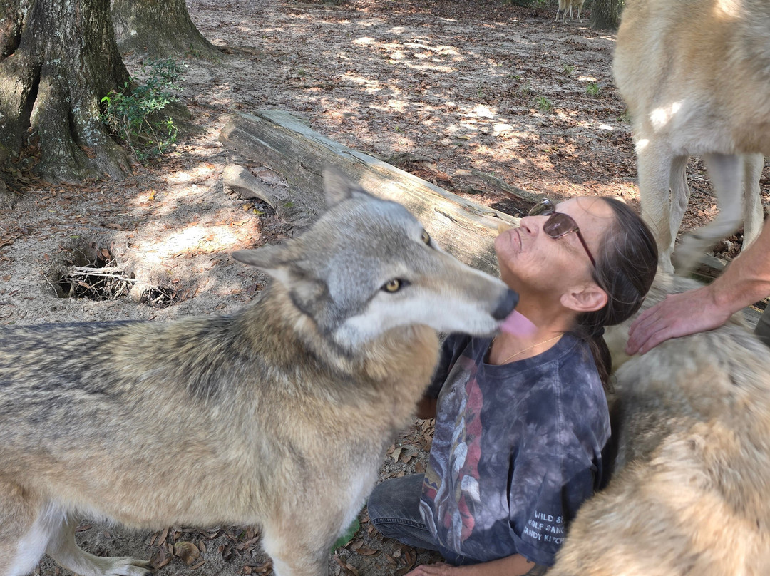 Seacrest Wolf Preserve-Chipley必去景点