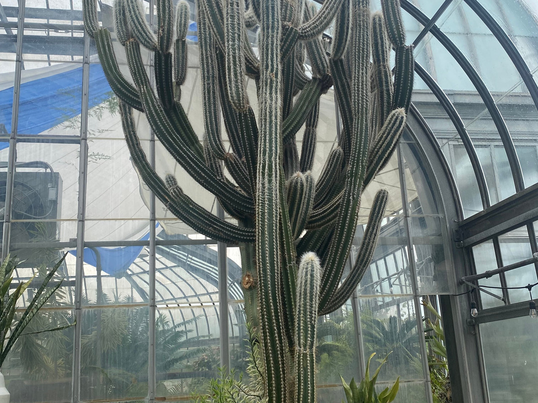 Anna Scripps Whitcomb Conservatory-底特律必去景点