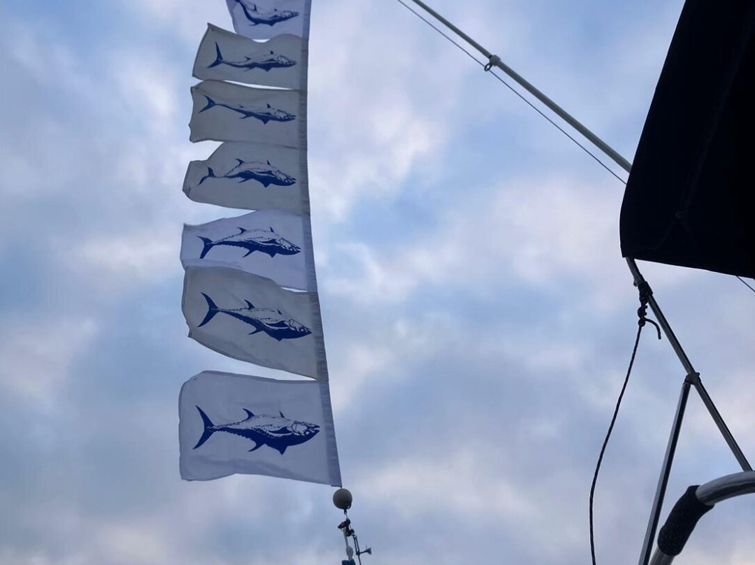 Aquila Charters-梅瓦吉西必去景点