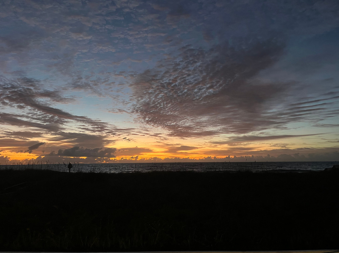 The Savannah Inn主图