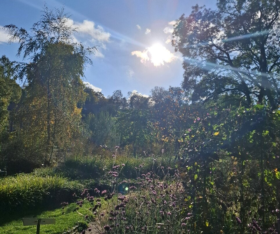 Botanical Garden Münster-明斯特必去景点