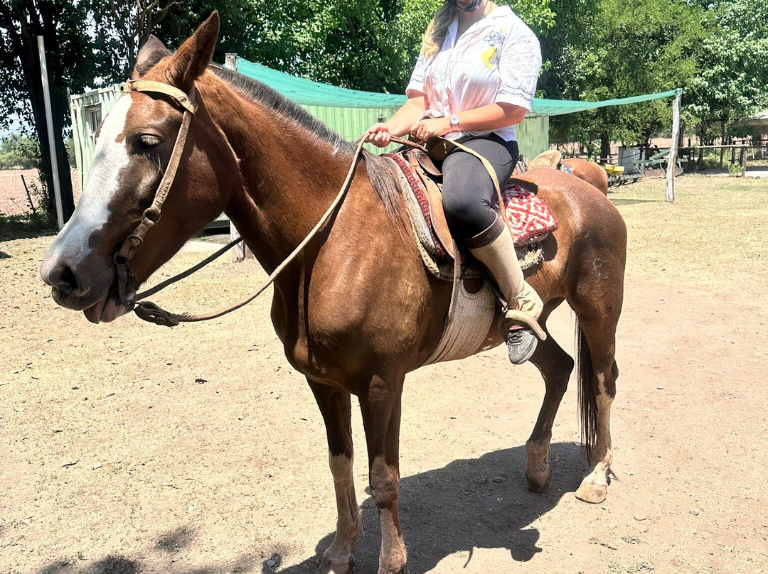 SAYTA-Chicoana必去景点