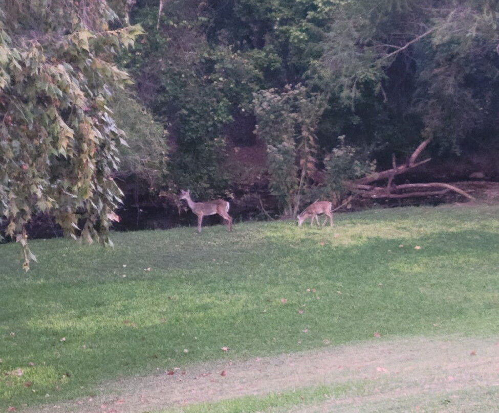 Fredericksburg Inn & Suites主图