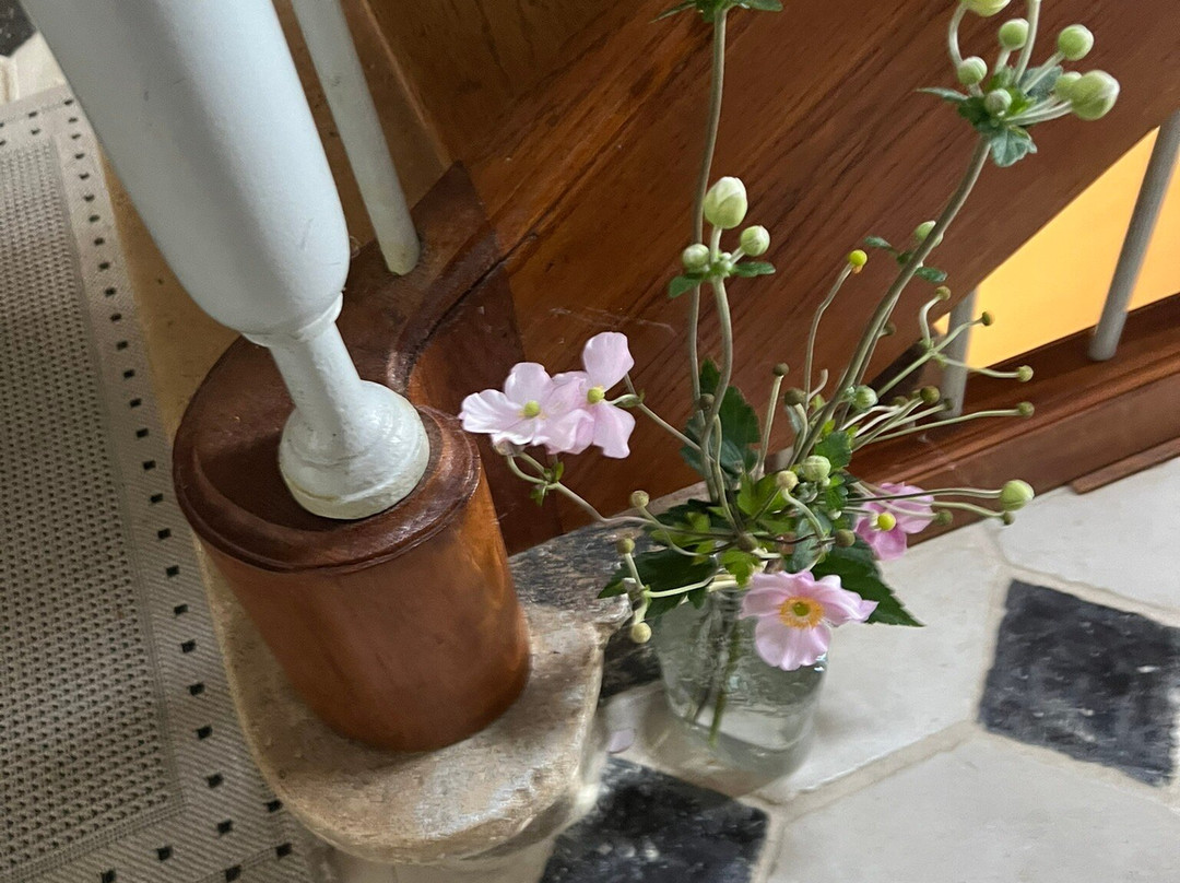 Le Jardin des Erables主图