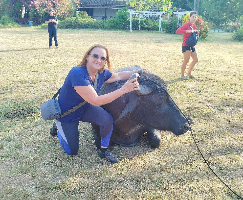 Marajó Eco'Tur Receptivo e Passeios Turísticos-Soure必去景点