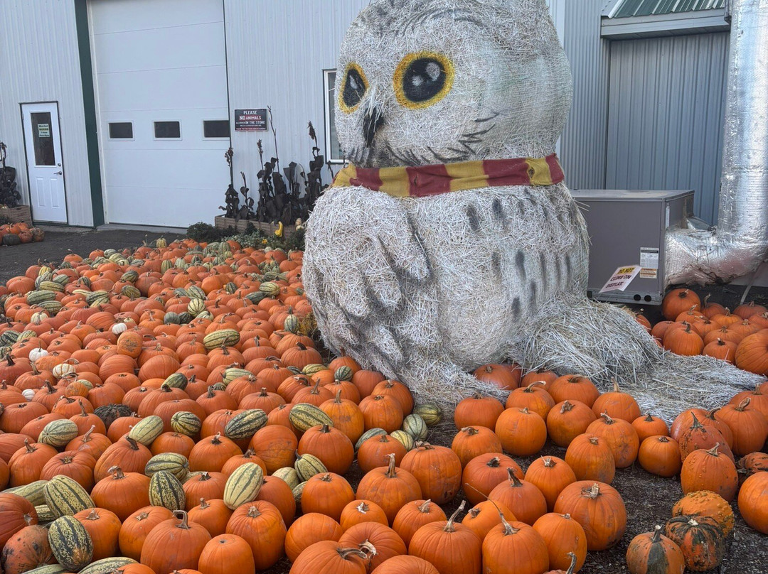 Desert Hills Ranch-Ashcroft必去景点