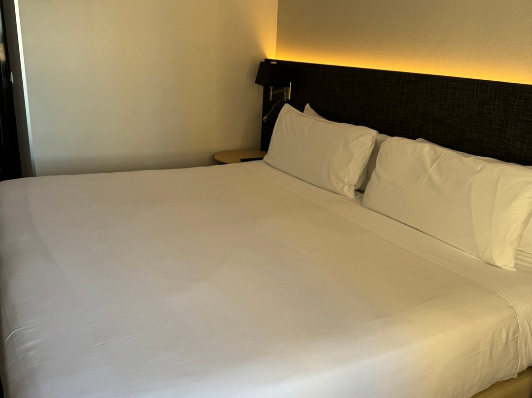 Hotel Cádiz Paseo del Mar, Affiliated by Meliá主图