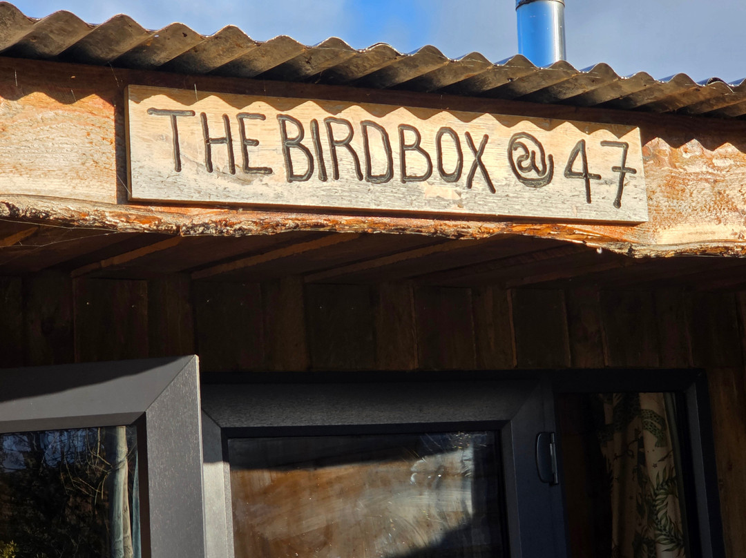 Rescorla餐馆和美食-Birdbox koffi shop