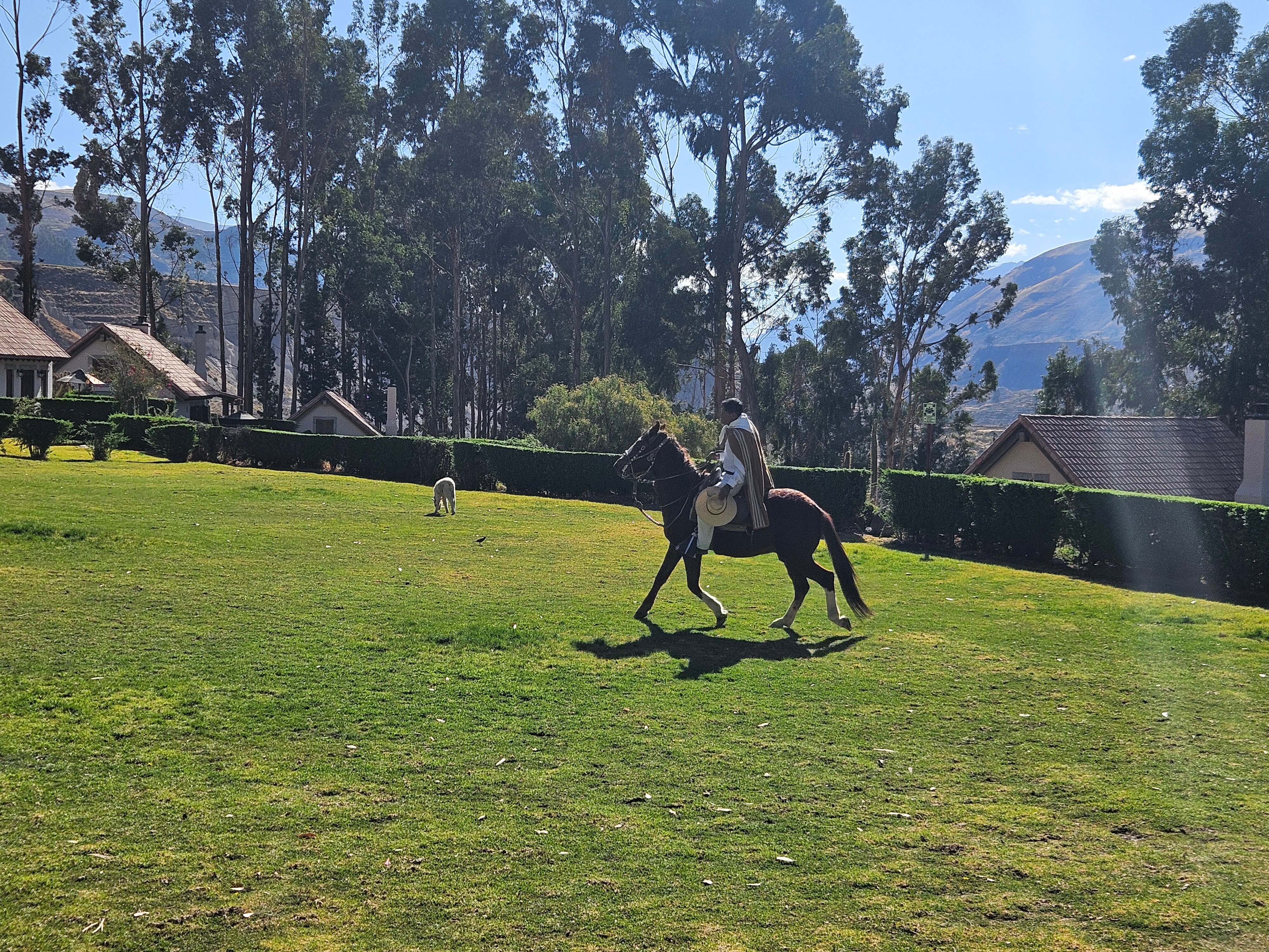 Las Casitas A Belmond Hotel-浴室