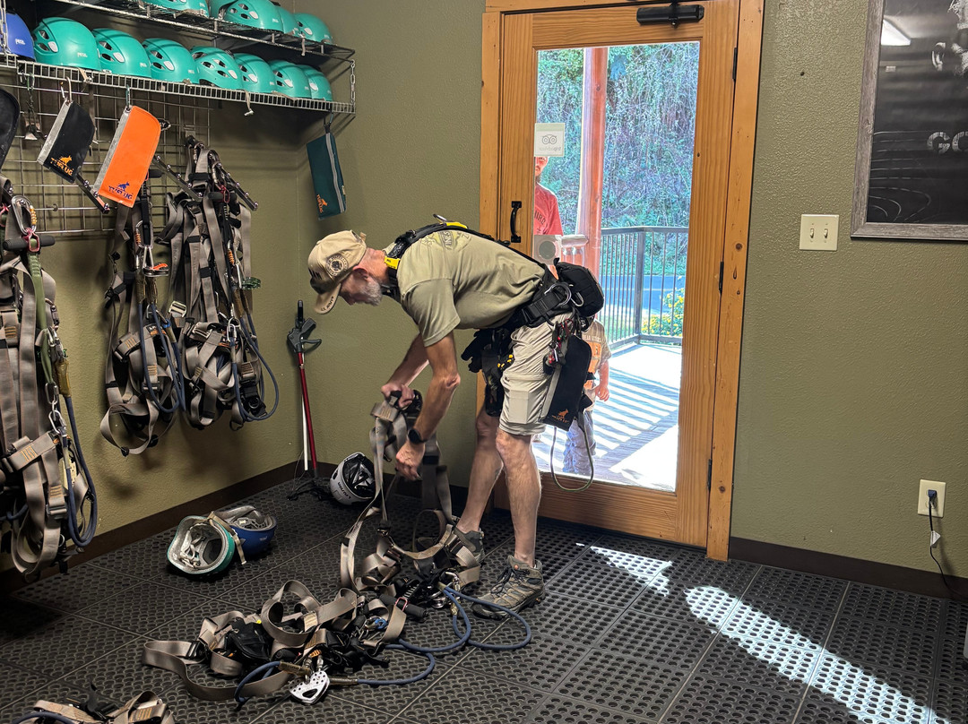 Smoky Mountain Ziplines-皮金福奇必去景点