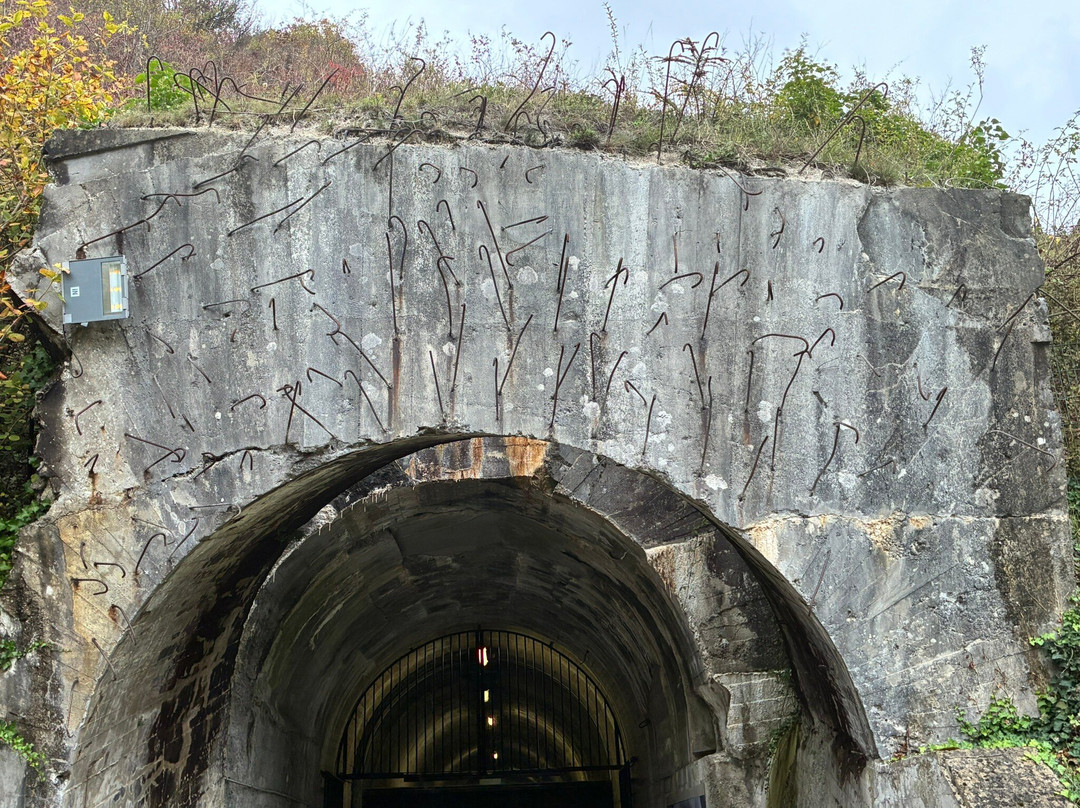 La Coupole-Wizernes必去景点