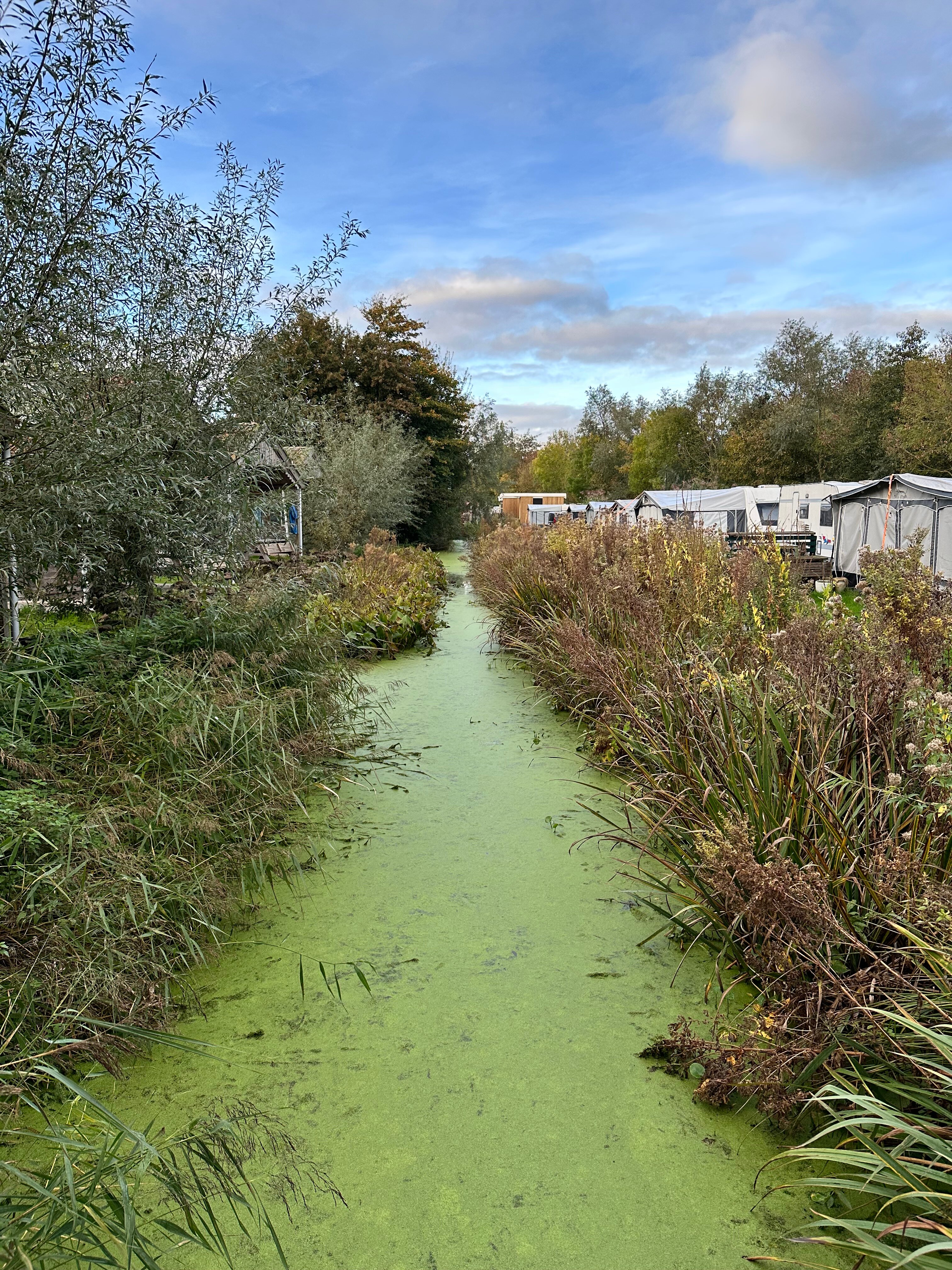 Camping en B&B Welgelegen-官方