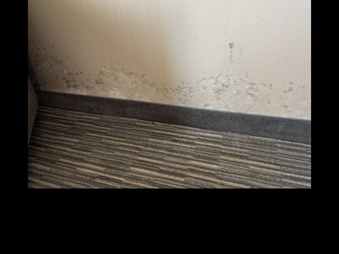 Wyndham Garden New Roads / False River主图