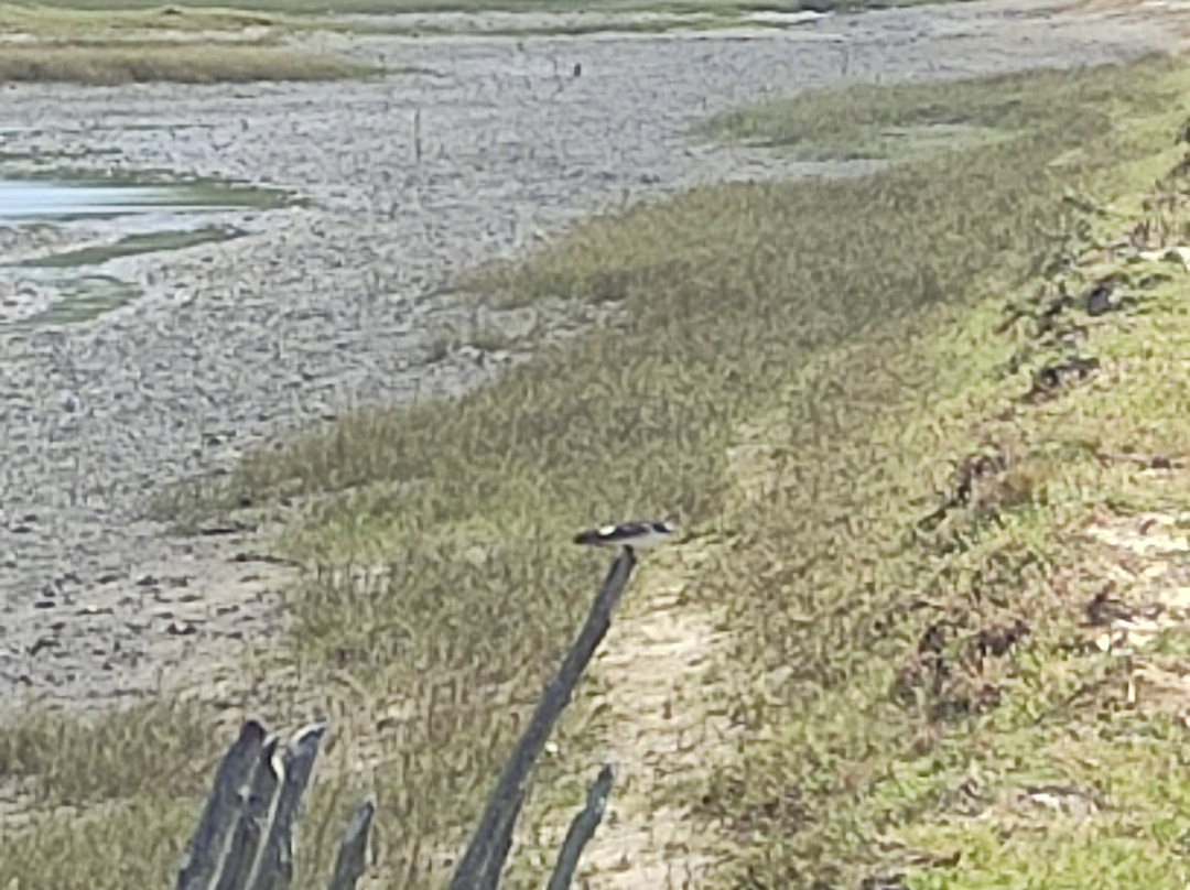 EcoParque Guaraíras-Senador Georgino Avelino必去景点