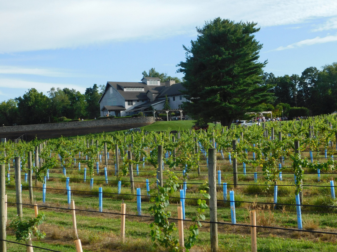 Laurita Winery-New Egypt必去景点