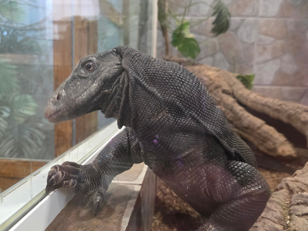 Reptisland-Melidoni必去景点