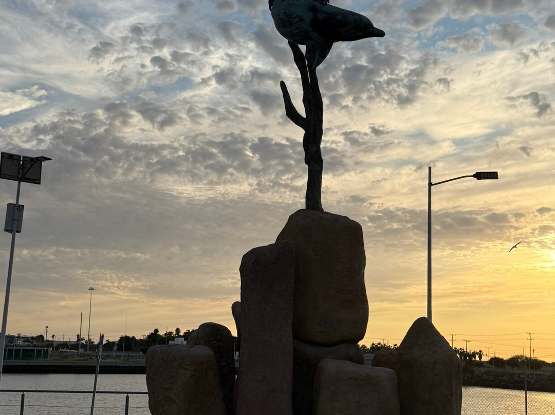 Sealion Dive Center-Los Mochis必去景点