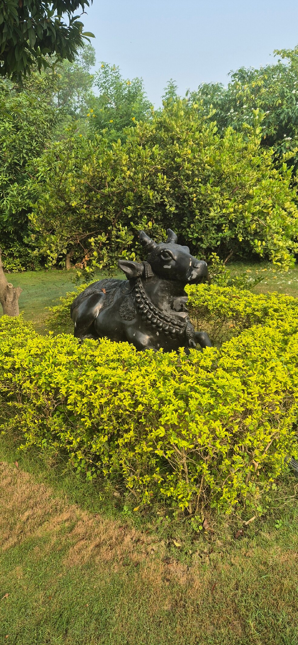 Tree of Life Resort & Spa, Varanasi-官方