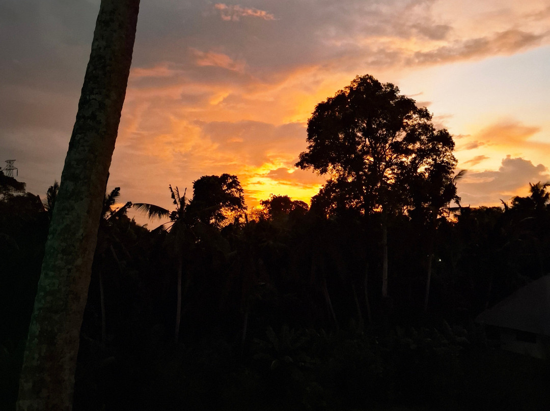 Unagi Wooden Villas By Emana主图