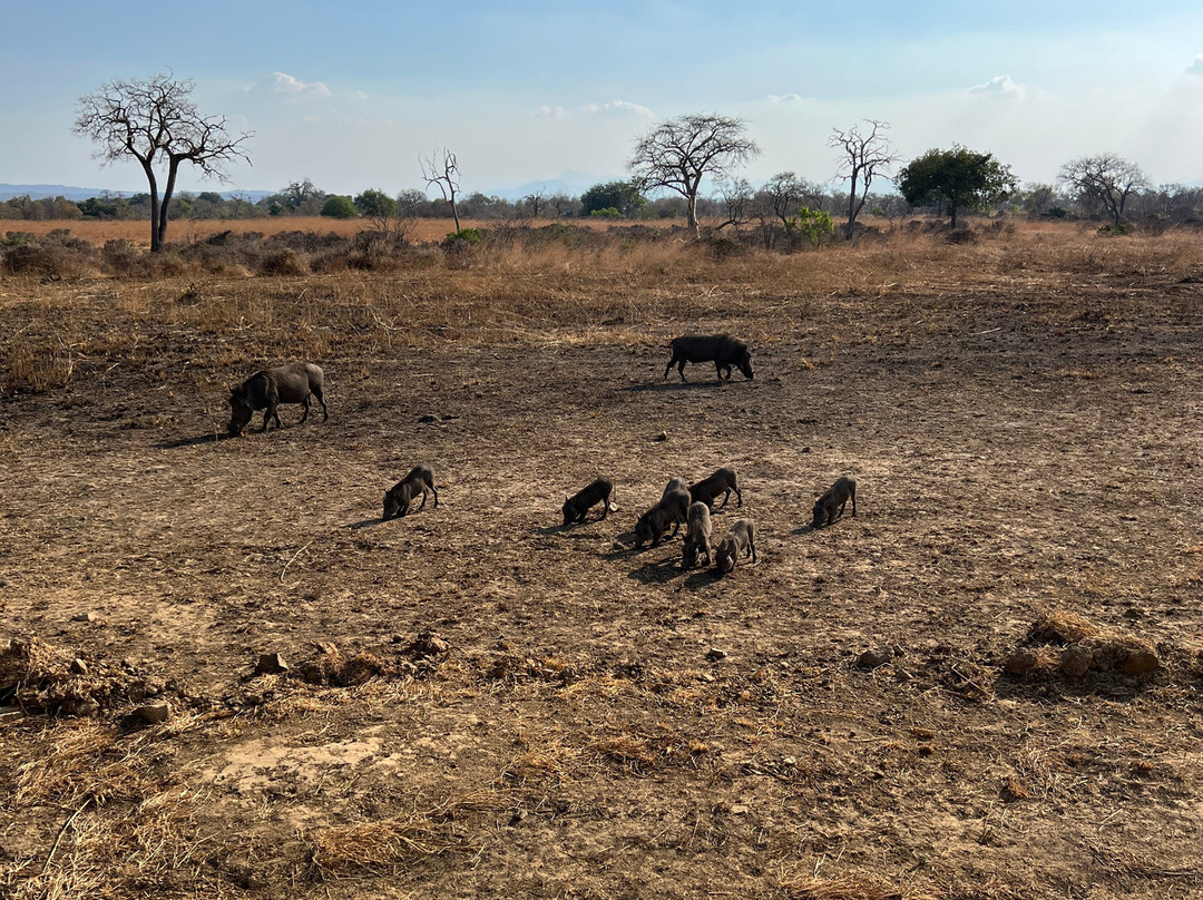 Passionate Safaris-Dar es Salaam必去景点