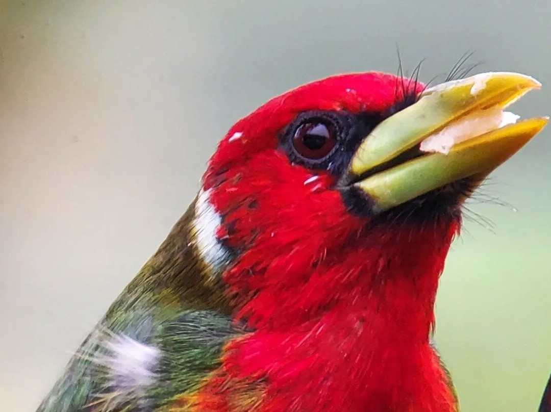 Royer Tours Mindo-明多必去景点