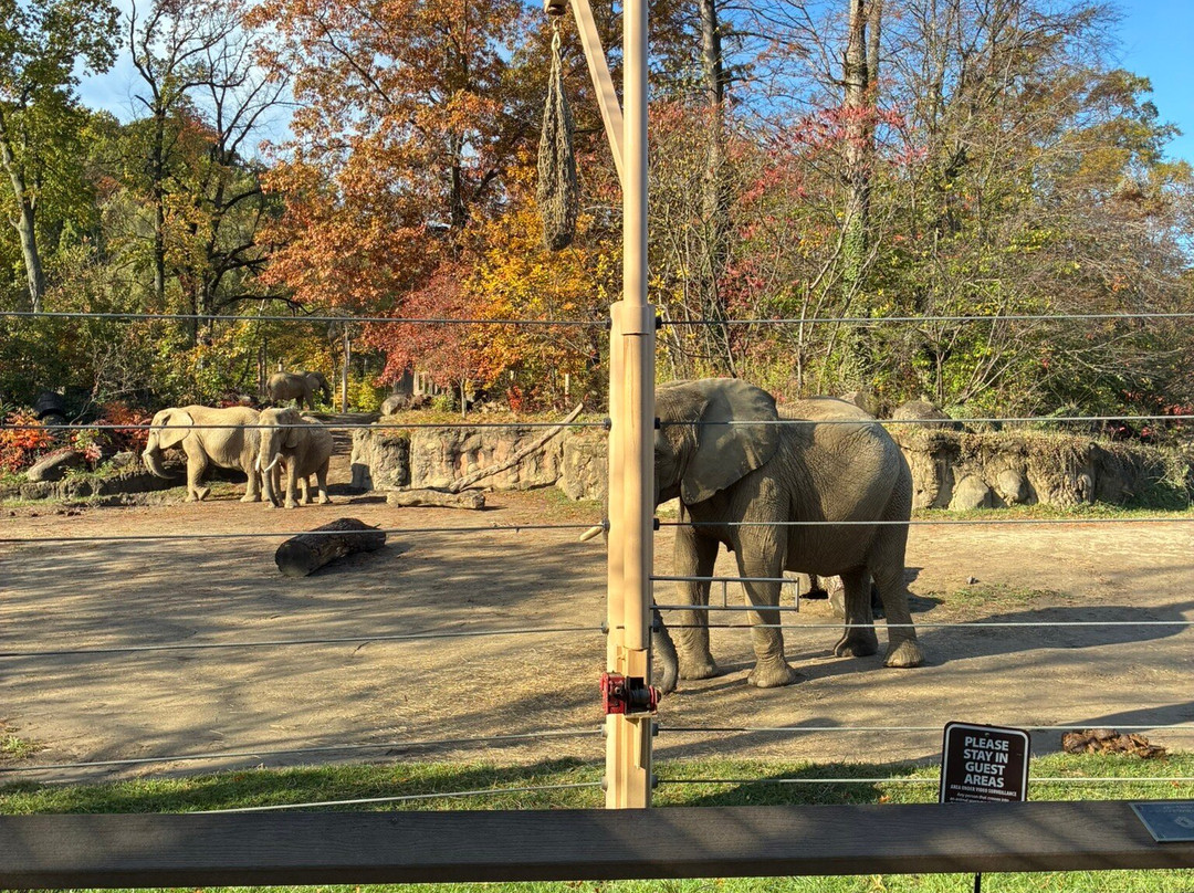 克利夫兰动物园-克利夫兰必去景点