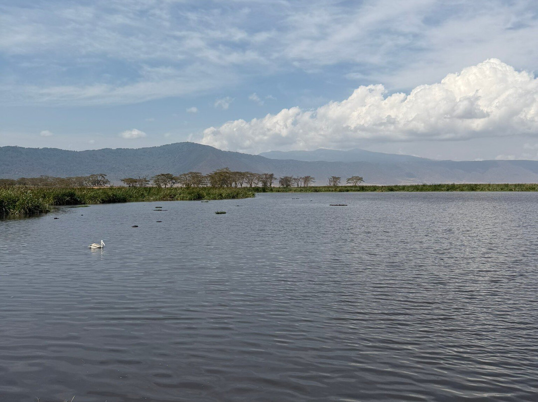 Unlimited Expeditions - The Soul Of Tanzania-阿鲁沙必去景点