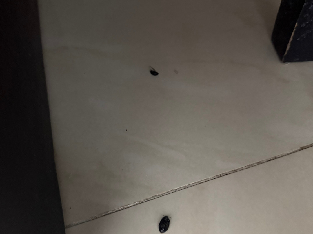 Kadoma Hotel and Conference Center主图