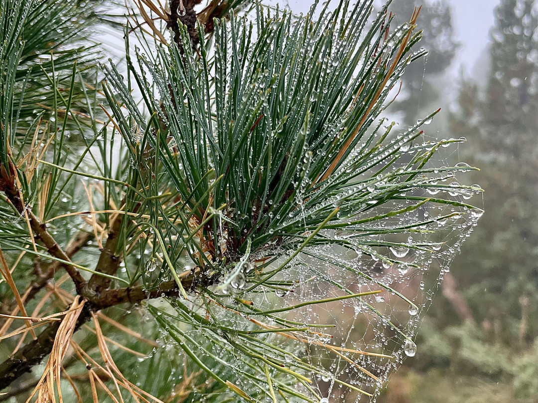 TREK BALKAN LLC-普里什蒂纳必去景点