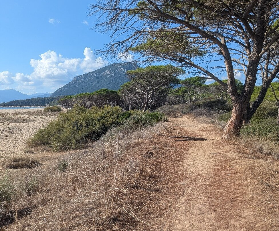 Sardovagando-奥罗塞必去景点