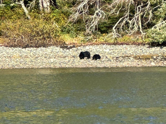 Jamie's Whaling Station & Adventure Centres-托菲诺必去景点