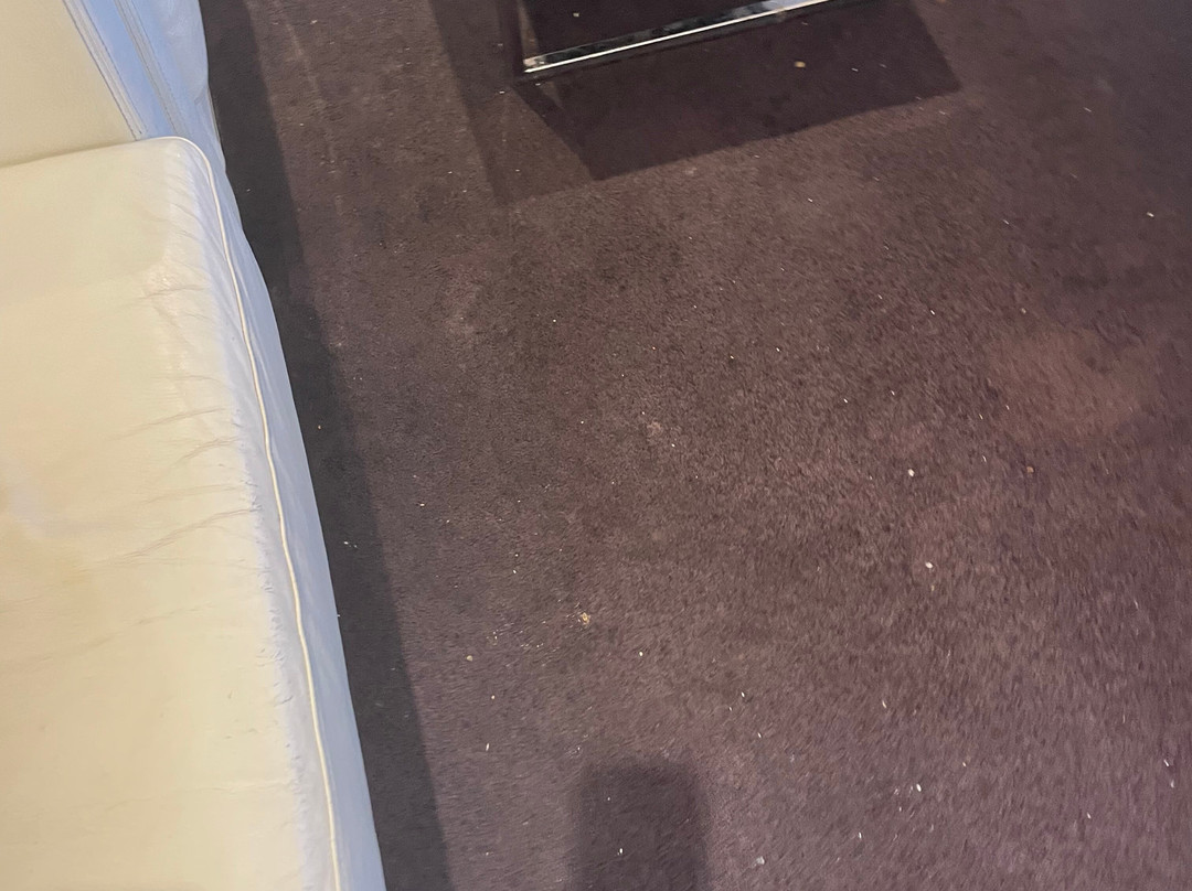 The House Lounge by Aspire, Sydney-悉尼必去景点