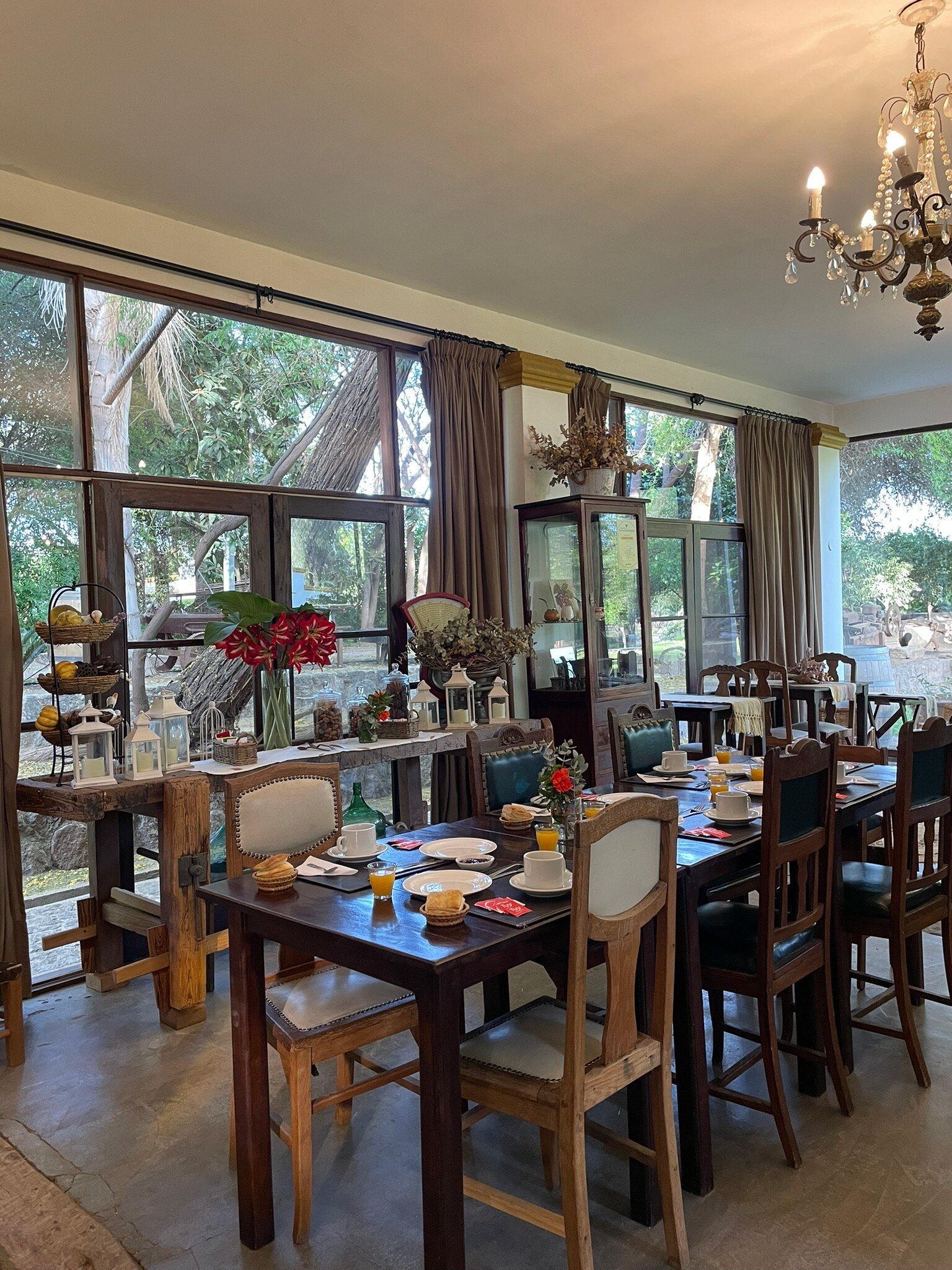 Posada del Olivo-官方