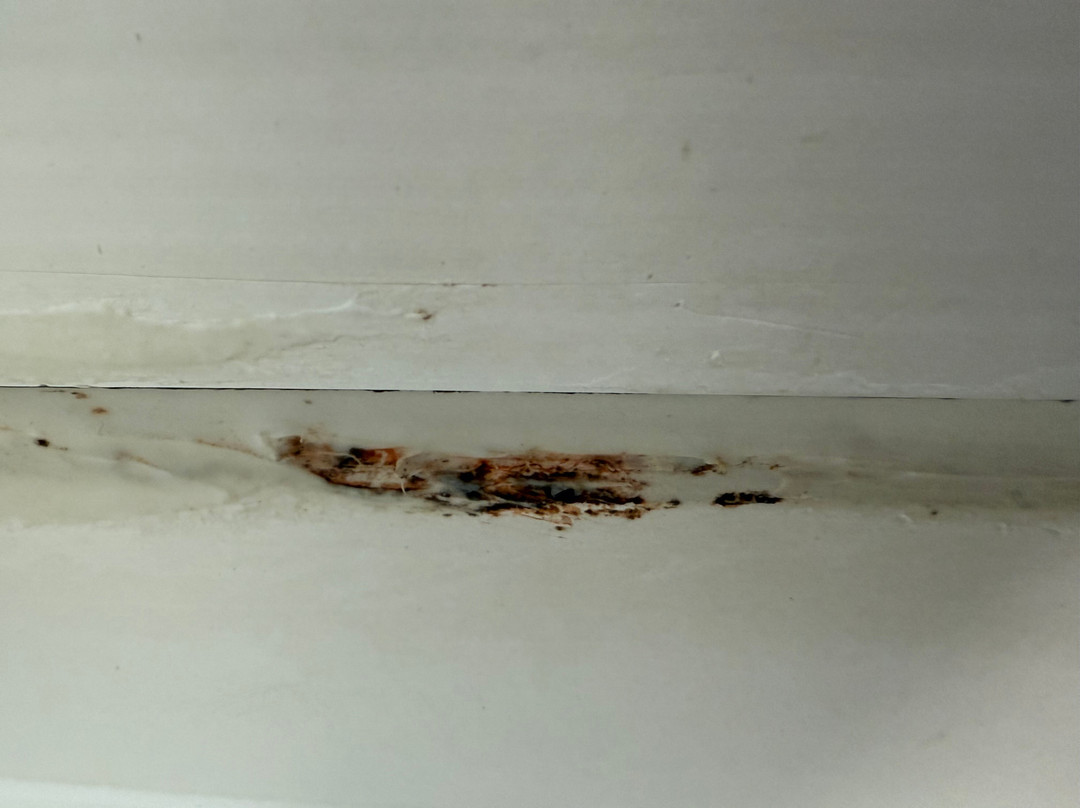 La Quinta Inn & Suites by Wyndham Joplin主图