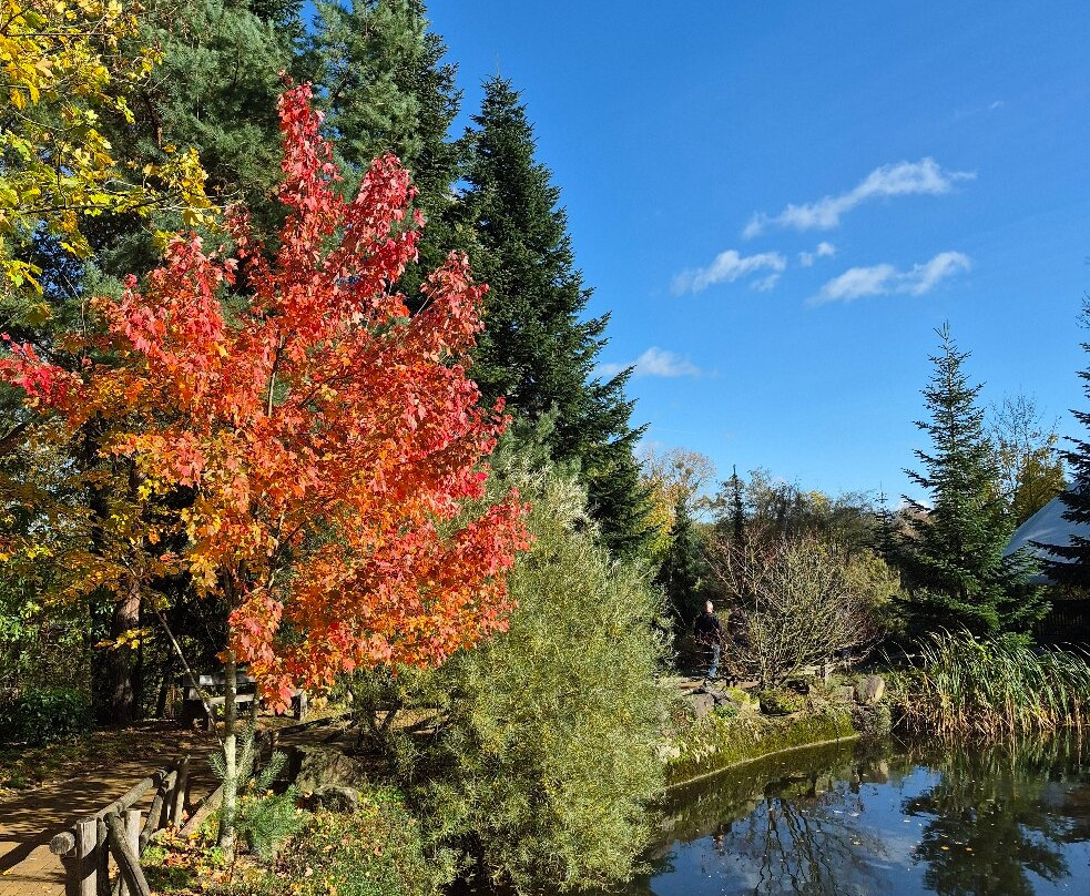 GaiaZOO-科尔克拉德必去景点