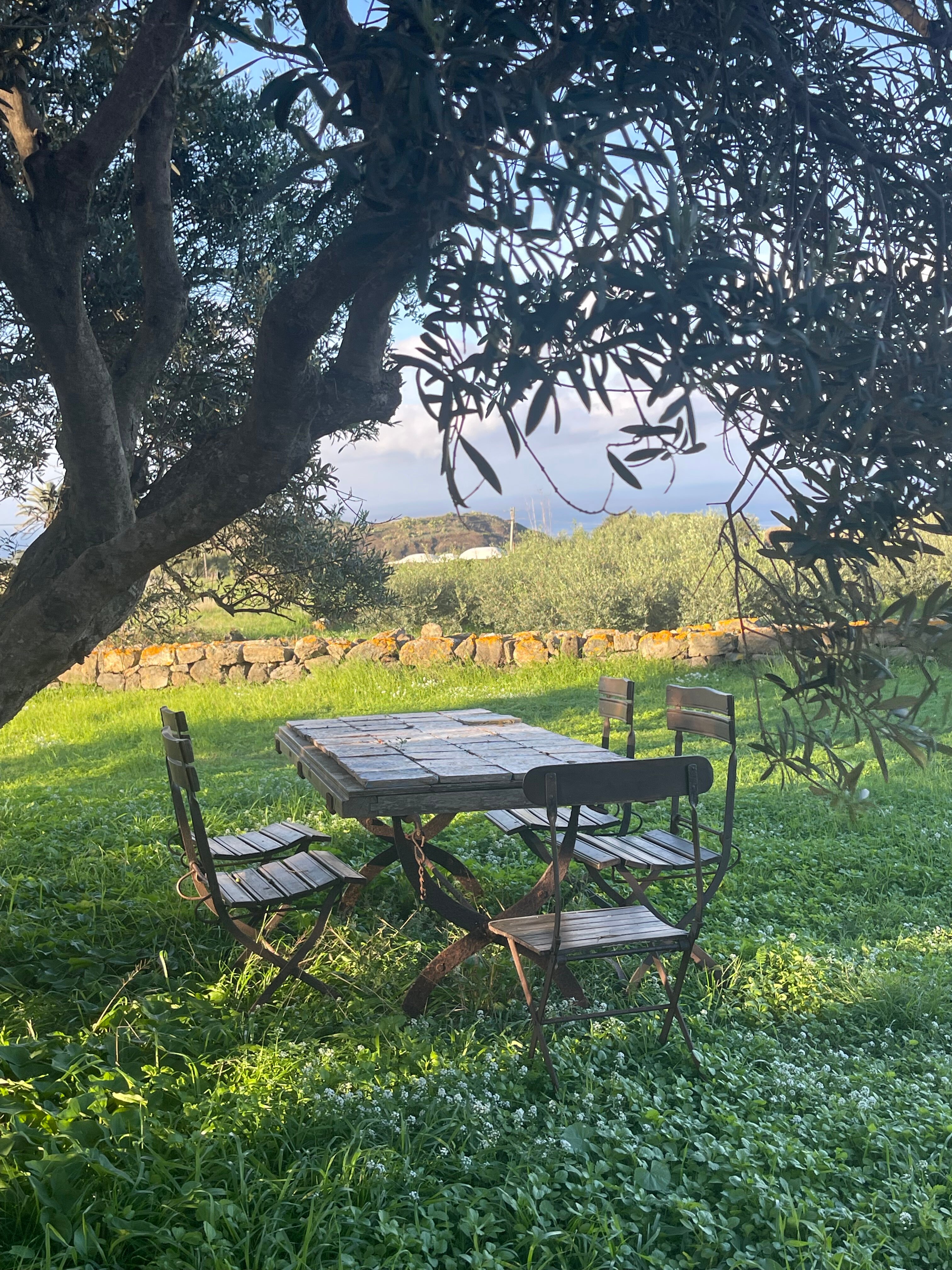 Zubebi Resort-官方