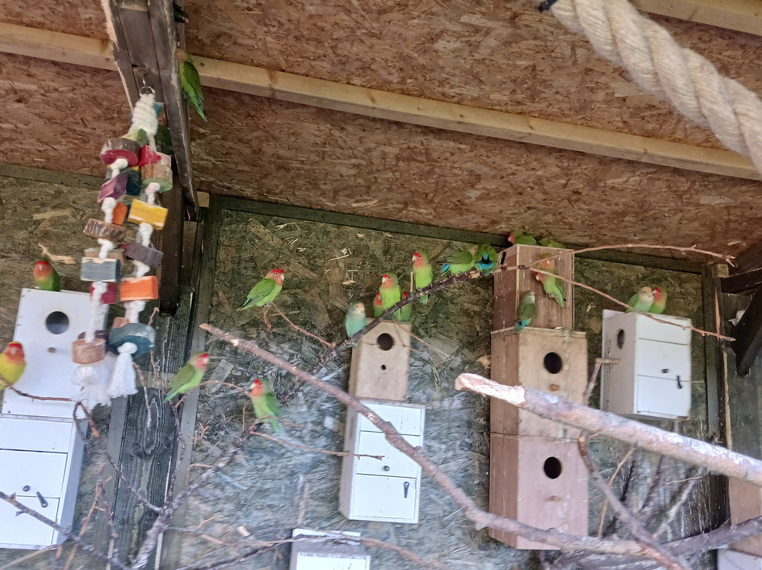 Totnes Rare Breeds Farm-托特尼斯必去景点