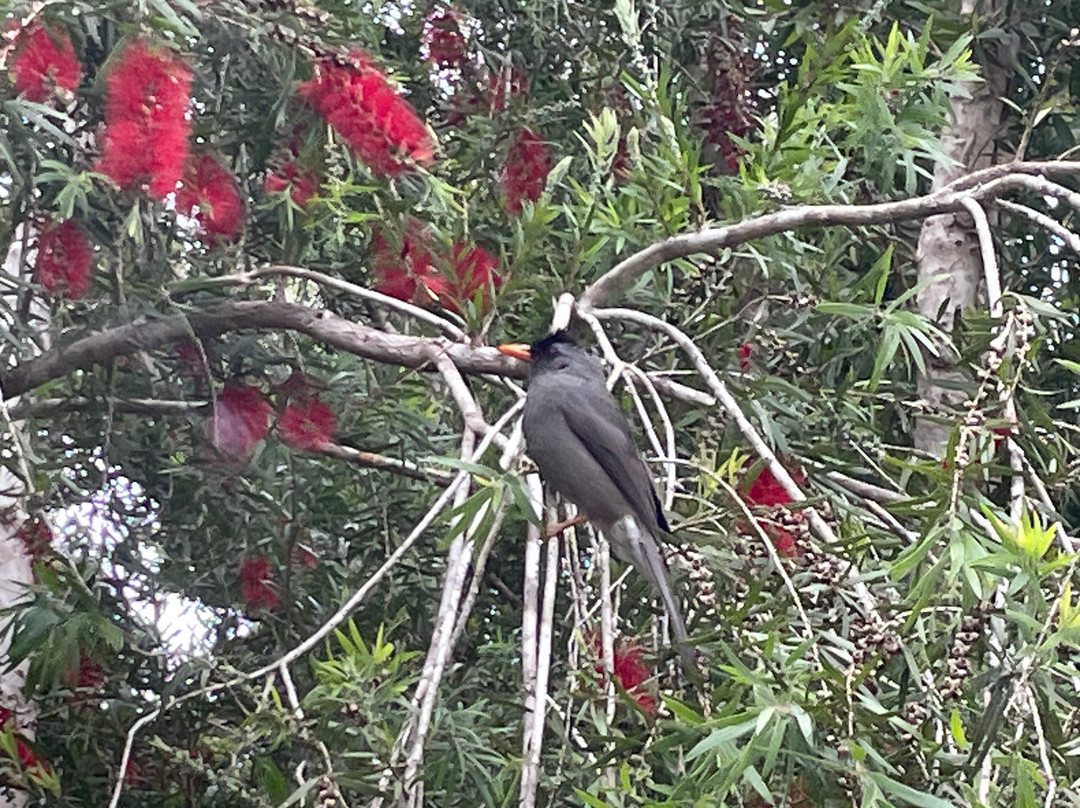 South Adventure Experience Ltd-钱米格兰尼尔必去景点