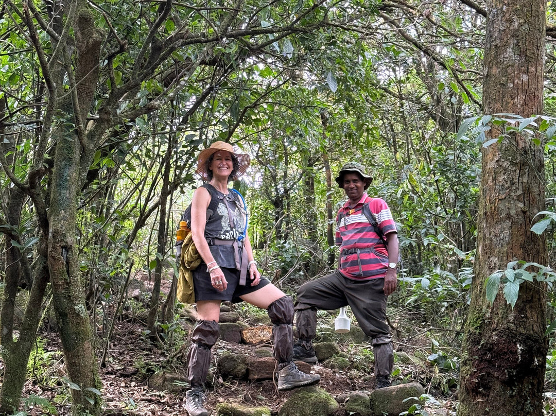 Sri Lanka Knuckles Trekking-康提必去景点
