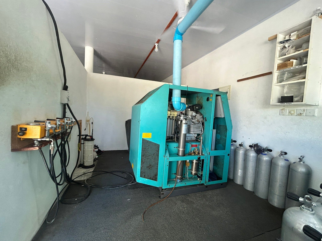 Pelagic Divers Fuvahmulah-Fuvahmulah必去景点