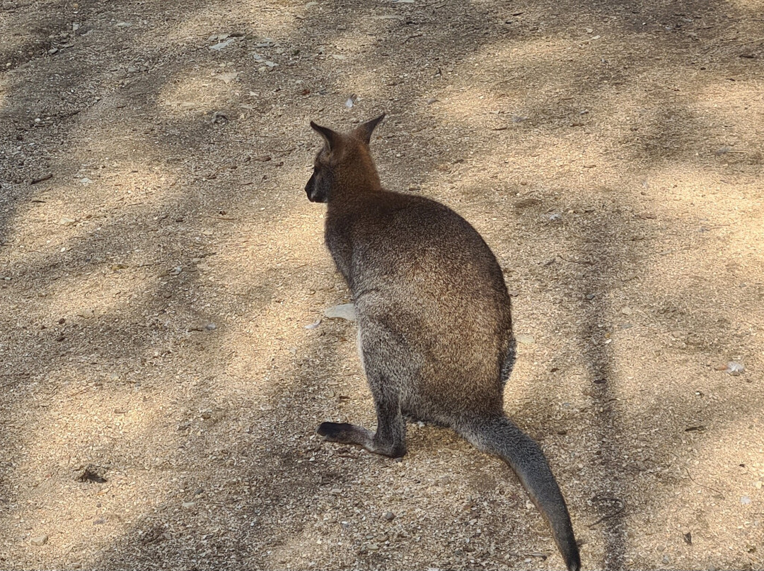 Safari Park-Gelendzhik必去景点
