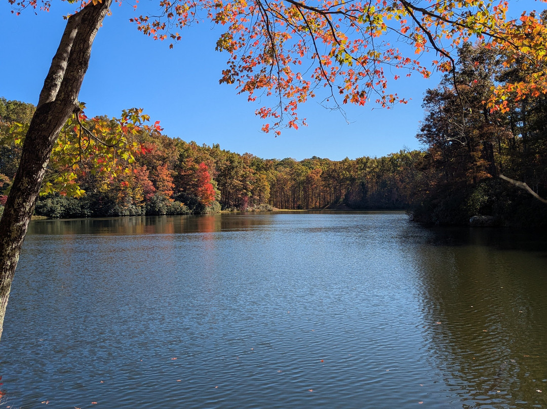 Babcock State Park-Clifftop必去景点