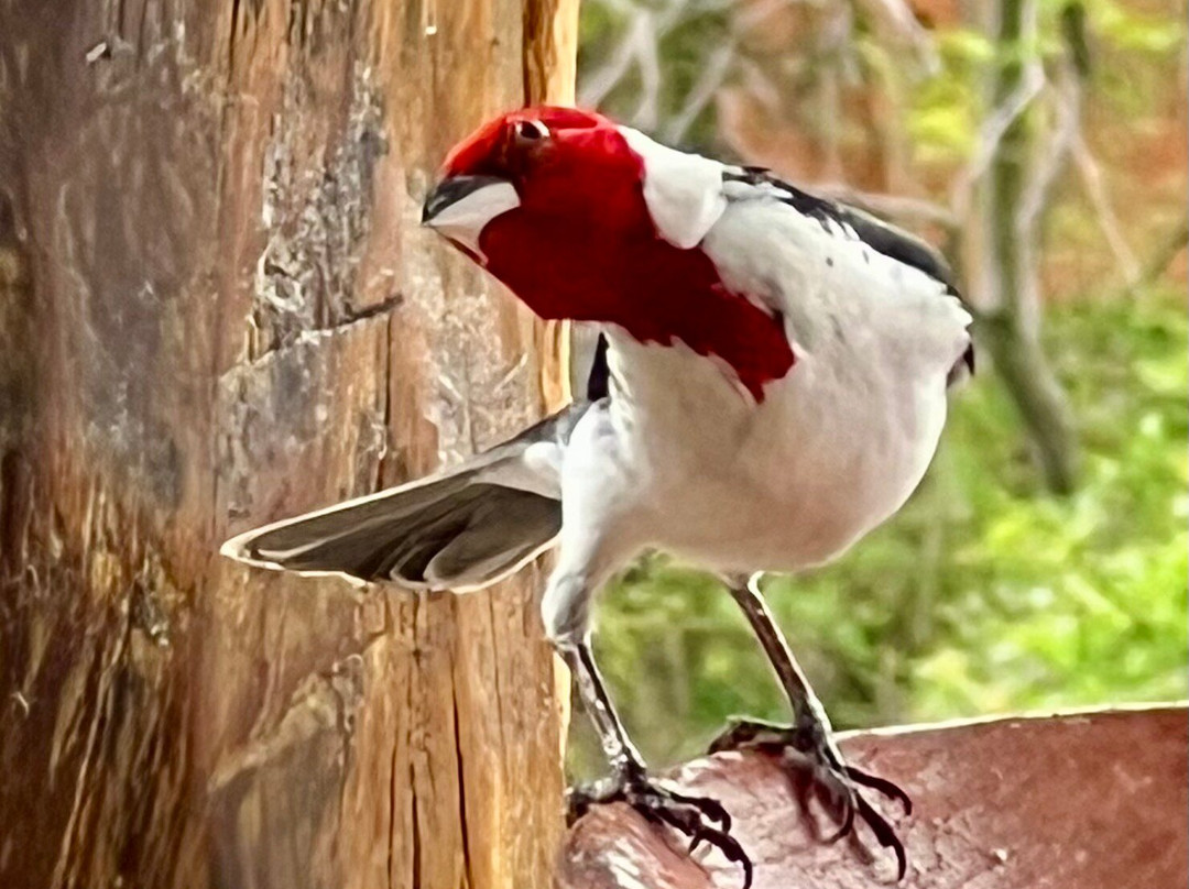 Hotel Canto das Aguas主图