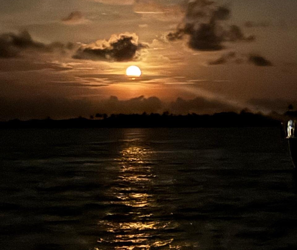 Flying Ginny Catamaran Charter-埃尔波韦尼尔必去景点