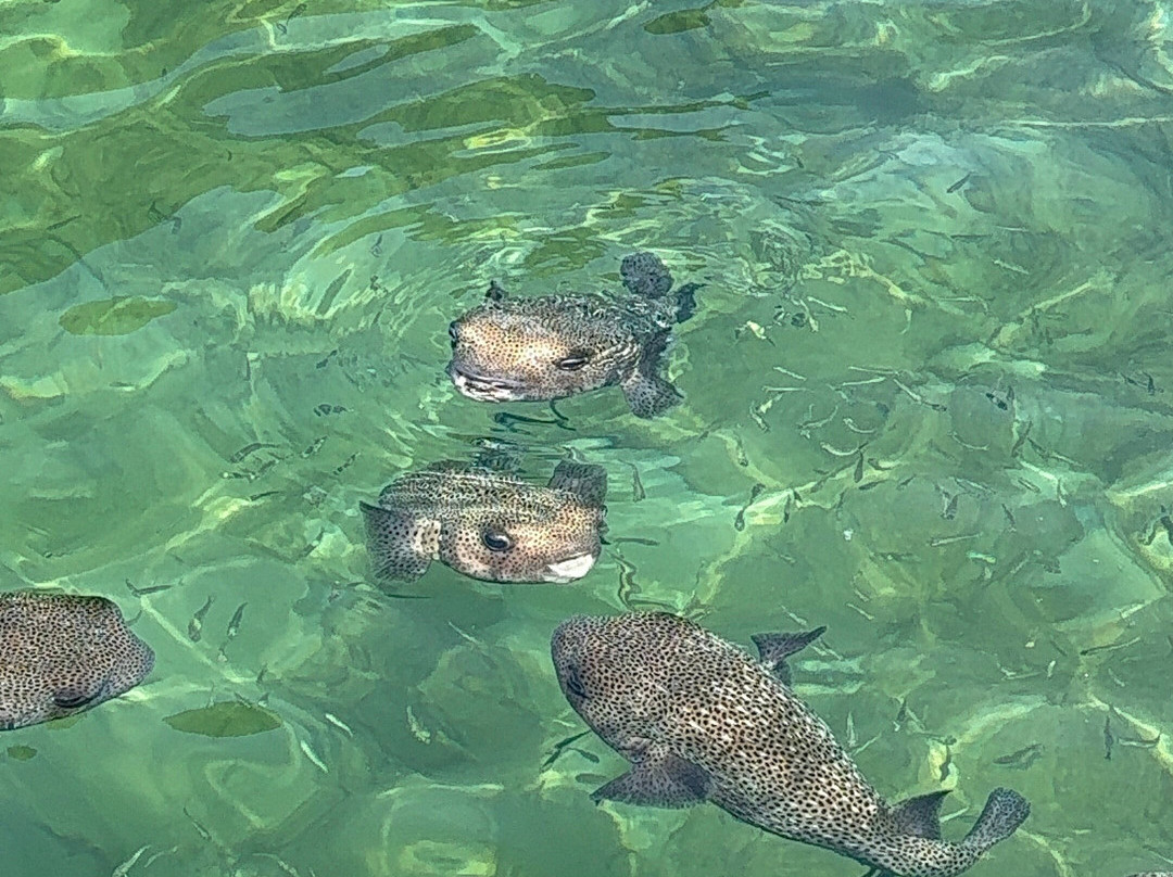 Rosario Beach Cartagena-卡塔赫纳必去景点