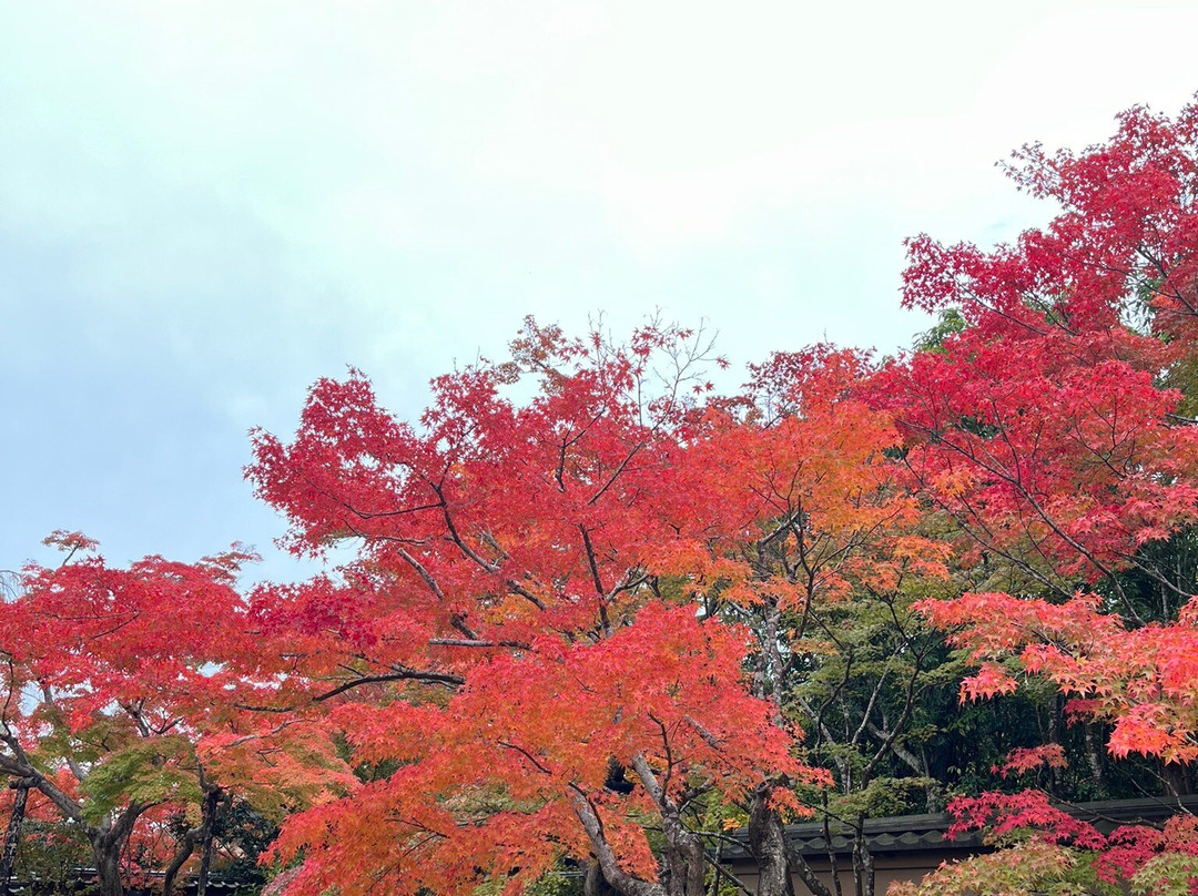 Entsu-in Temple-松岛町必去景点