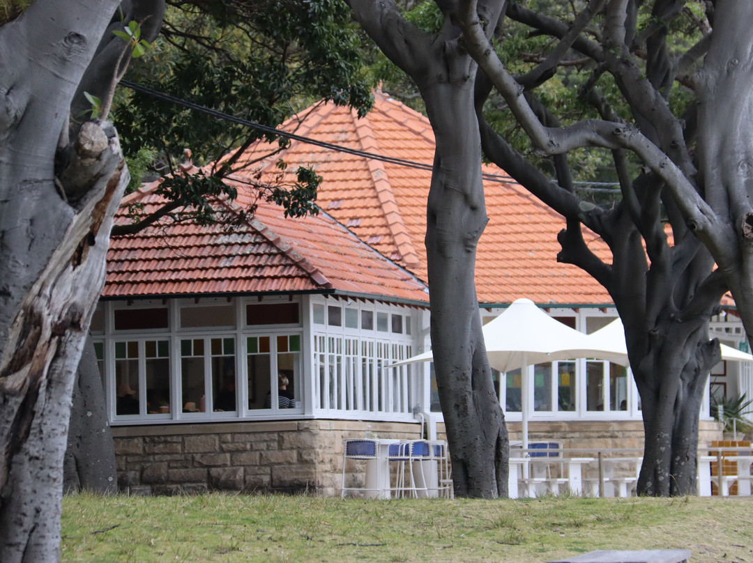 Shark Beach-Vaucluse必去景点