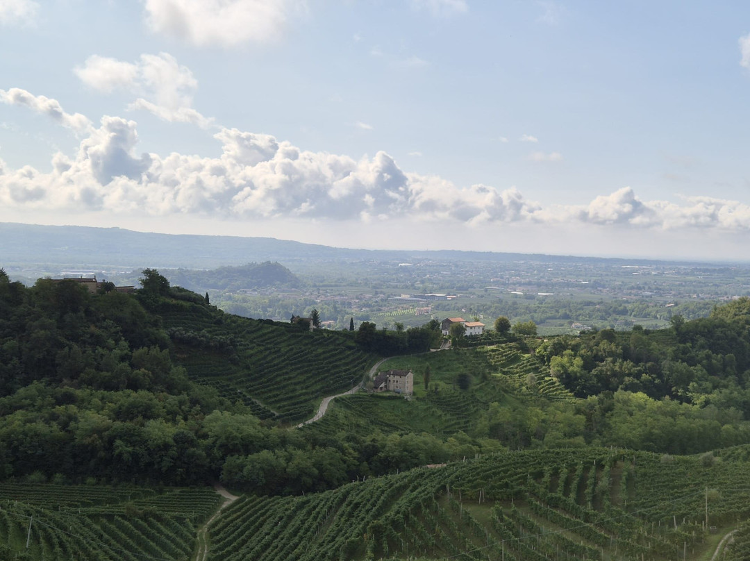 Boutique Hotel Municipio 1815主图