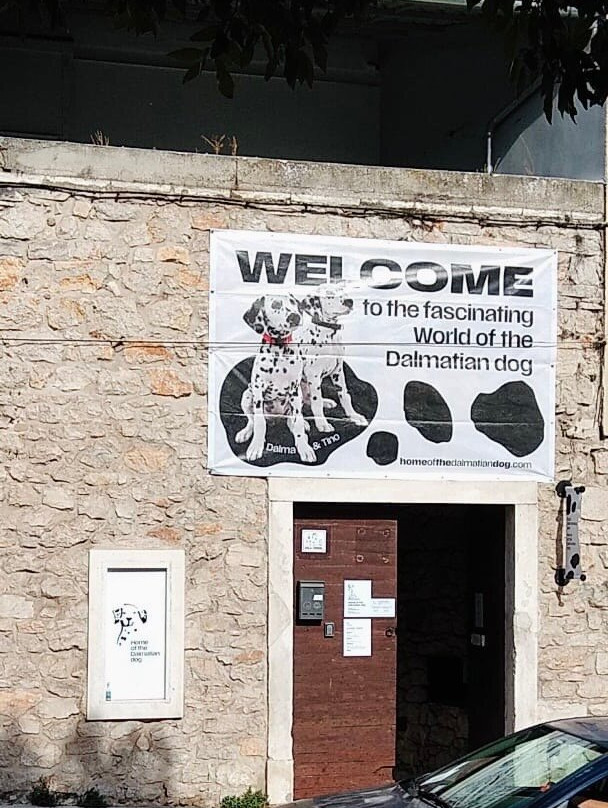 Home Of The Dalmatian Dog-希贝尼克必去景点